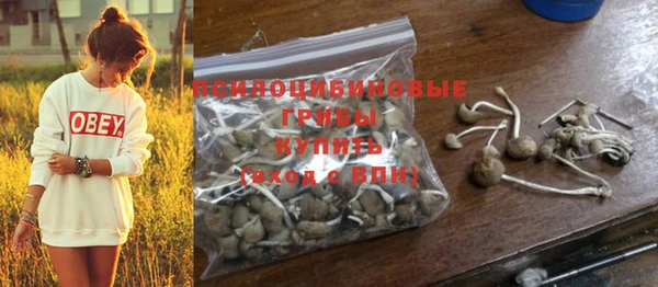 шишки Абдулино
