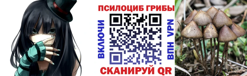 Псилоцибиновые грибы мухоморы  Симферополь 